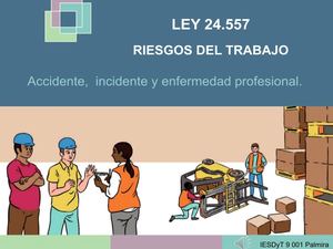 Pp Ley 24 (1)