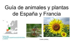 Plantas Y Animales De España Y Francia