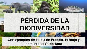 Pérdida De La Biodiversidad I