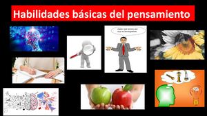 Habilidades Basicas Del Pensamiento