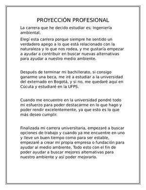 Proyección Profesional
