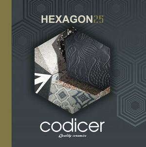 Hexagon B2