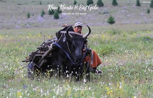 Khan Khentii & East Gobi