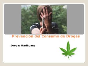 Presentacion Marihuana