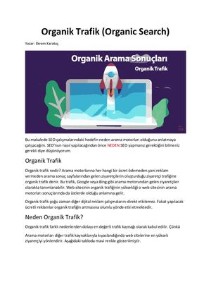 Organik Trafik