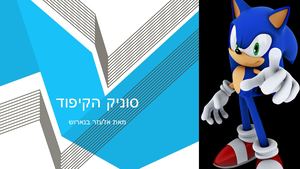 סוניק הקיפוד