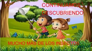 cartilla educativa sobre los insecto