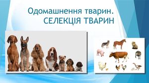 СЕЛЕКЦІЯ ТВАРИН М.