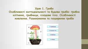 Урок 1 Гриби