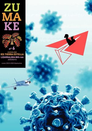 Zumake Nº6 2020
