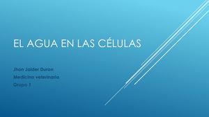El Agua en las Células