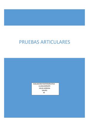 PRUEBAS 1 ARTICULARES EVALUACION