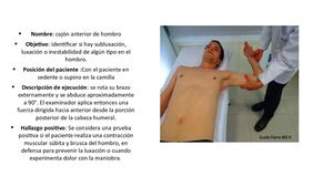 categoria  integridad  Articular