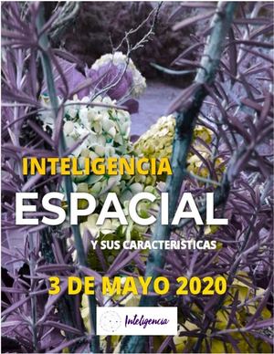 Inteligencia Espacial