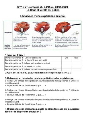 6 Svt S1mai Compressed