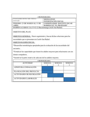 Cronograma Intervención Social