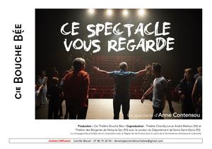 Ce Spectacle Vous Regarde - Anne Contensou