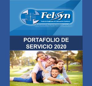 Portafolio Felsyn 2020
