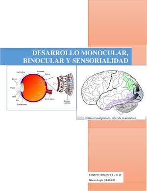 Desarrollo Monocular