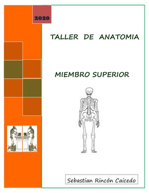 Taller De Anatomía sobre Miembro Superior 2020