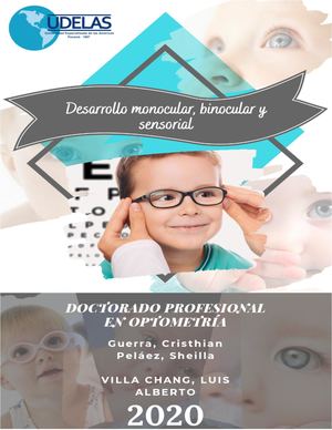 Resumen De Visión Binocular (3