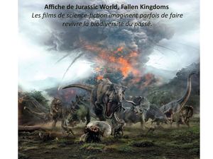 Correction Biodiversite Passée