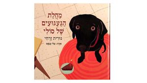 מחלת הגעגועים של סולי