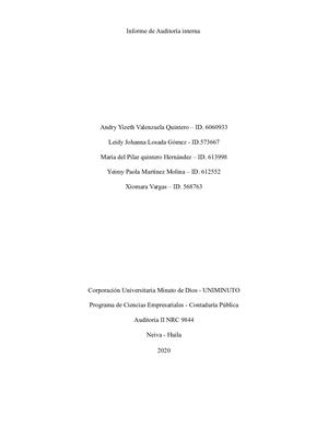 Informe De Auditoria Interna