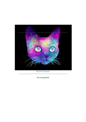 Gatos De La Galaxia