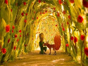 El Principito Y El Zorro Pp