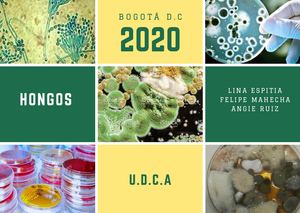 Trabajo Micro Final Final