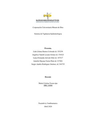 PROPUESTA DE IMPLEMENTACIÓN DE UN SVE  PARA LA PREVENCIÓN DEL RIESGO DE HIPOACUSIA EN LA EMPRESA   HIDRÁULIC SUPPLING S.A.S