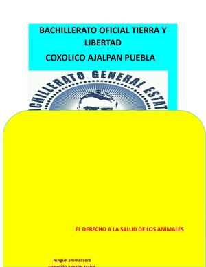 Historieta Sobre El Derecho A La Salud De Los Animales