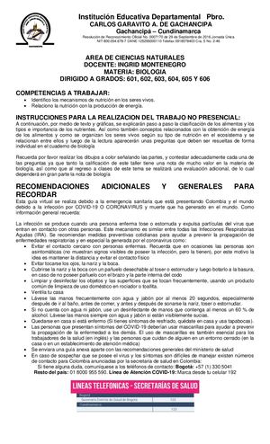 Biologia 601 A 606 Trabajo Despues Del 20 De Mayo Ingrid Montenegro
