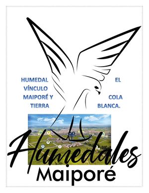 Humedal El Vínculo Maipore Y Cola Tierra Blanca