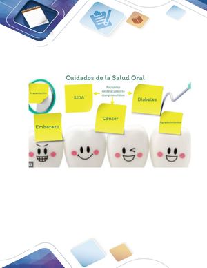 Principales hábitos de higiene oral