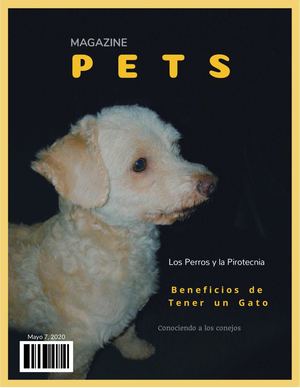 Magazine Pets