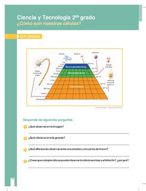 Explorando La Celula