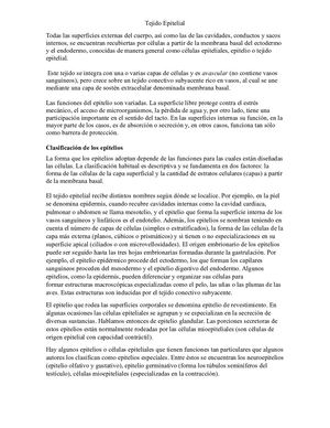 Tejido Epitelial