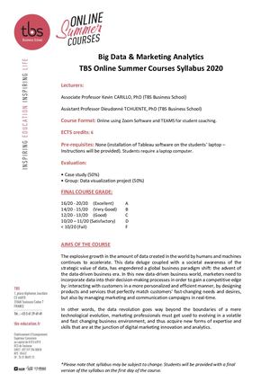 Online Summer Big Data And Marketing Anayltics Syllabus