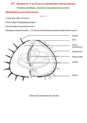 6ème –Semaine Du 11 Au 15 Mai Compressed