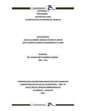 Actividad 2 Ergonomia - Estudio De Caso - Elementos De Un Sistema De Trabajo