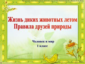 Урок 28 Жизнь диких животных летом