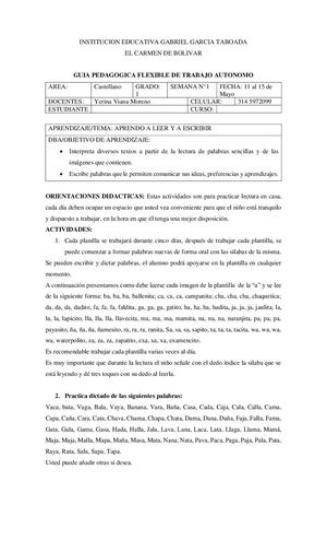 Guía Flexible Castellano Primer Grado IEGGT