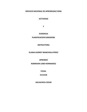 Ensilaje De Maíz Robinson (1)