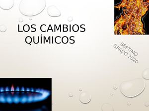 Los Cambios Químicos
