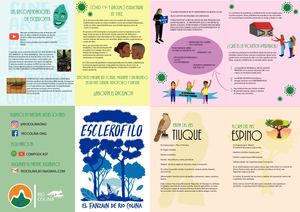 Fanzine Rixcolina