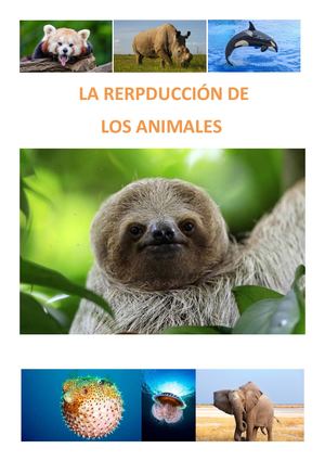REPRODUCCIÓN ANIMAL