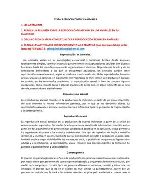 Tema Reproducción En Animales (1)