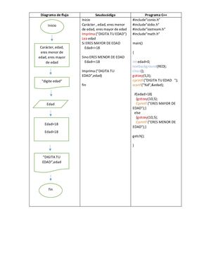 Diagrama De Flujo, Seudocodigo Y C++